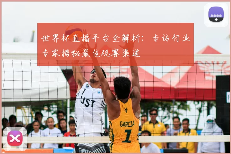 世界杯直播平台全解析：专访行业专家揭秘最佳观赛渠道