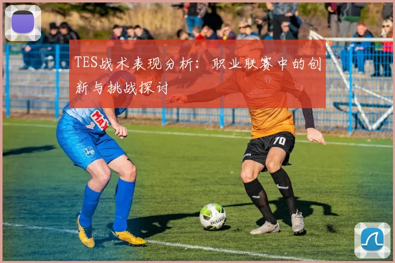 TES战术表现分析：职业联赛中的创新与挑战探讨
