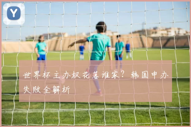 世界杯主办权花落谁家？韩国申办失败全解析