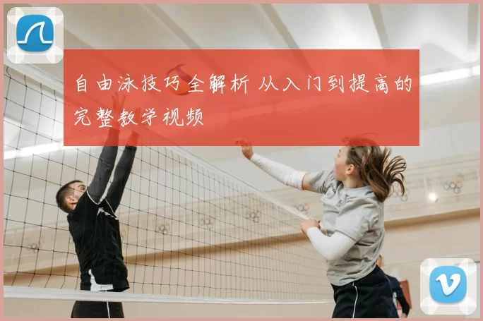 自由泳技巧全解析 从入门到提高的完整教学视频