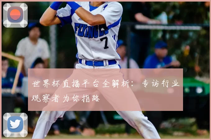 世界杯直播平台全解析：专访行业观察者为你指路