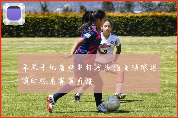 苹果手机看世界杯方法指南助球迷随时观看赛事直播