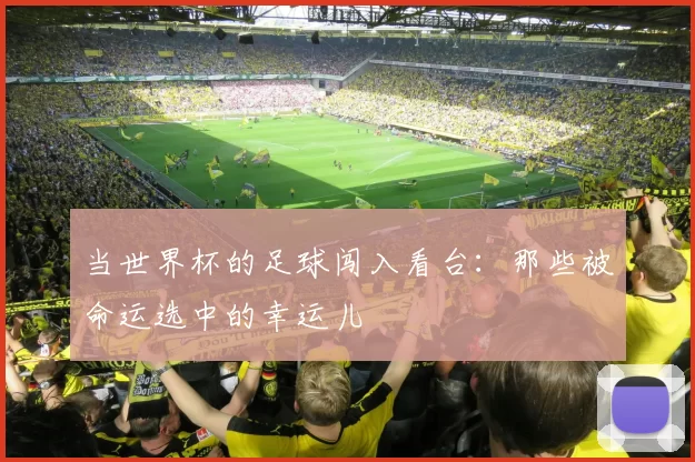 当世界杯的足球闯入看台：那些被命运选中的幸运儿