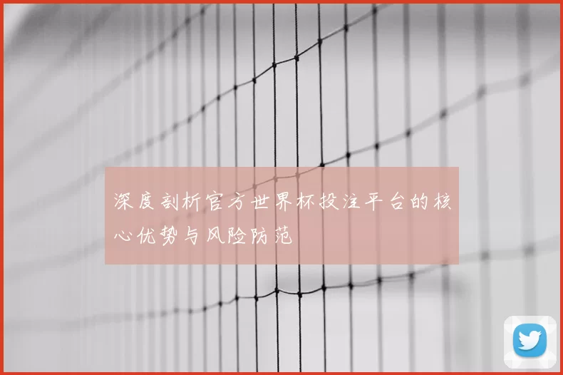 深度剖析官方世界杯投注平台的核心优势与风险防范