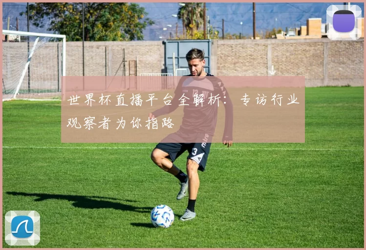 世界杯直播平台全解析:专访行业观察者为你指路
