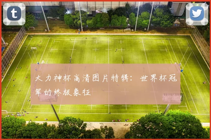 大力神杯高清图片特辑：世界杯冠军的终极象征