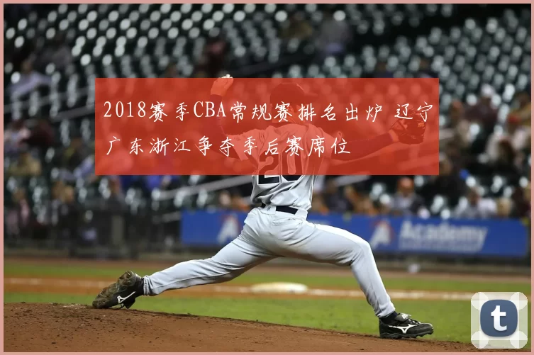 2018赛季CBA常规赛排名出炉 辽宁广东浙江争夺季后赛席位