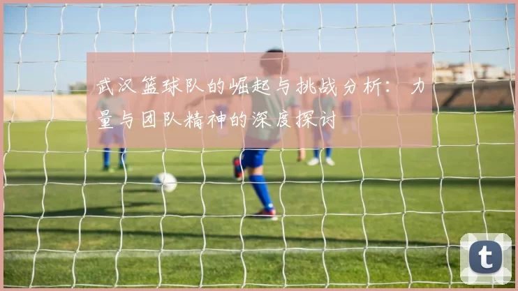 武汉篮球队的崛起与挑战分析：力量与团队精神的深度探讨